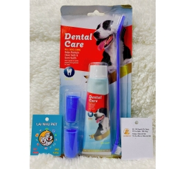 Bộ kem bàn chải đánh răng Dental Care 