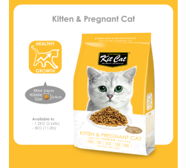 KIT CAT KITTEN & PREGNANT 1.2KG – HẠT KHÔ CHO MÈO CON VÀ MÈO MẸ 
