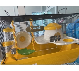 Lồng Hamster nấm vàng