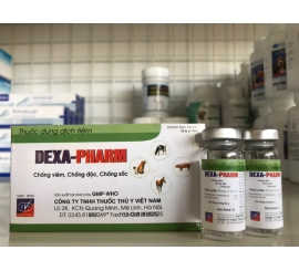 dexa - pharm chống độc , chống sốc, chống viêm