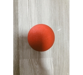 Đồ chơi bóng nảy 
