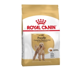 Royal canin poodle adult - Thức ăn cho chó Poodle trưởng thành