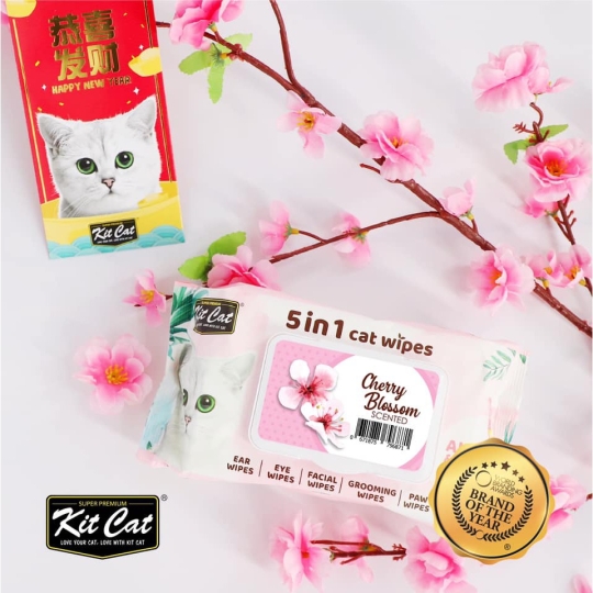 Khăn ướt kháng khuẩn cho mèo - Đủ Hương 