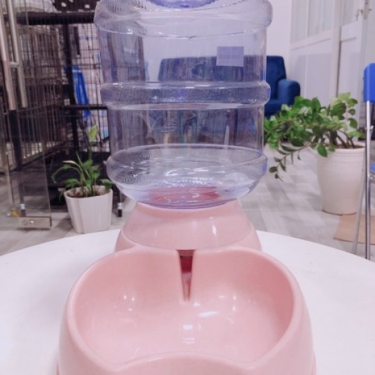 Bình tự động uống 
