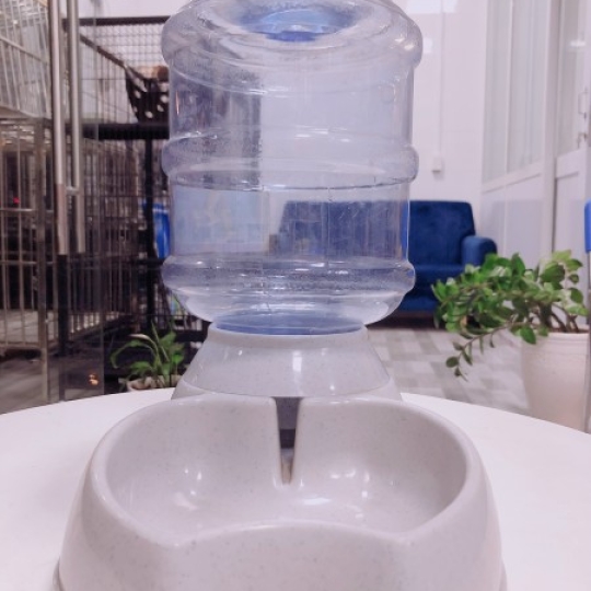 Bình tự động uống 