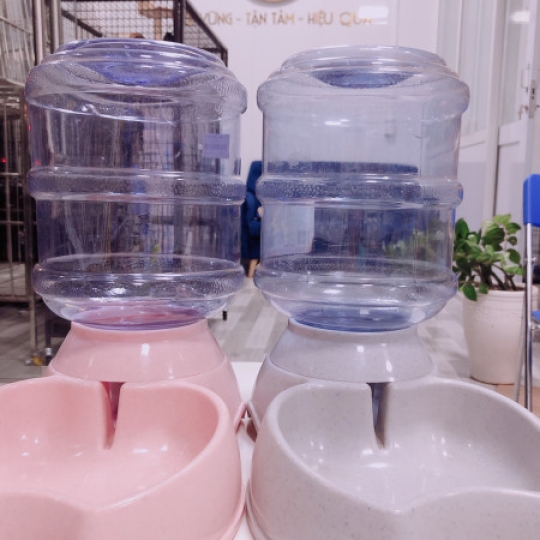 Bình tự động uống 
