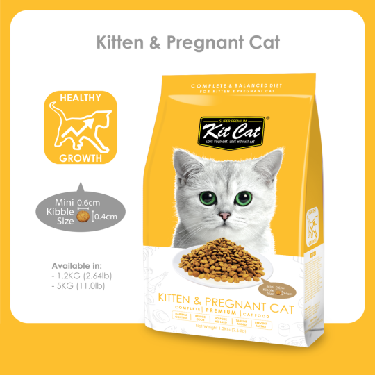 KIT CAT KITTEN & PREGNANT 1.2KG – HẠT KHÔ CHO MÈO CON VÀ MÈO MẸ 