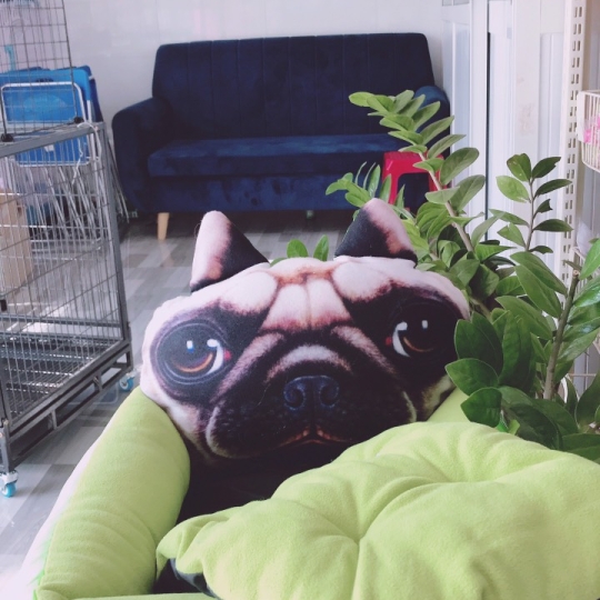 Đệm chó mèo 3D Hk
