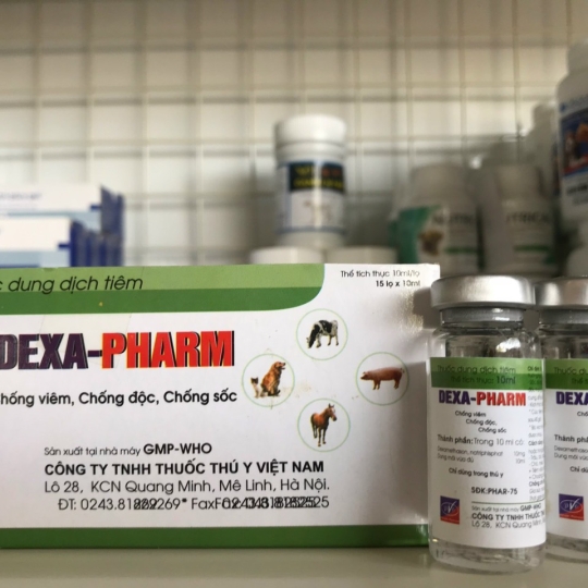 dexa - pharm chống độc , chống sốc, chống viêm
