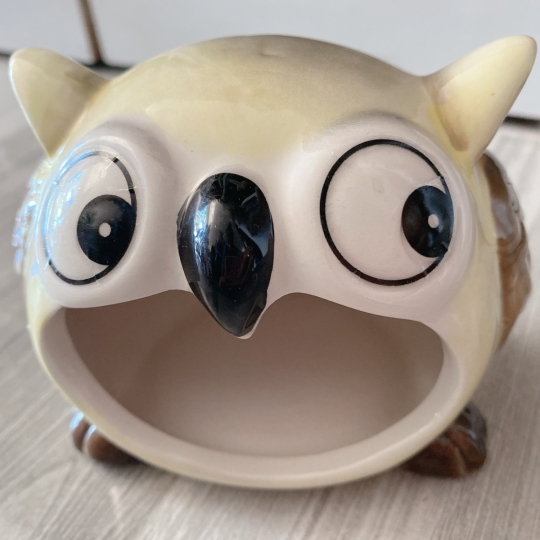Nhà ngủ cú cho hamster