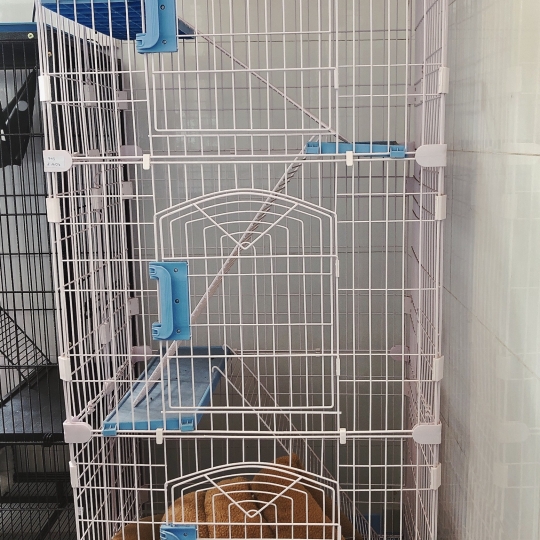 Lồng đế nhựa cao cấp cho mèo C225a 74*53*170