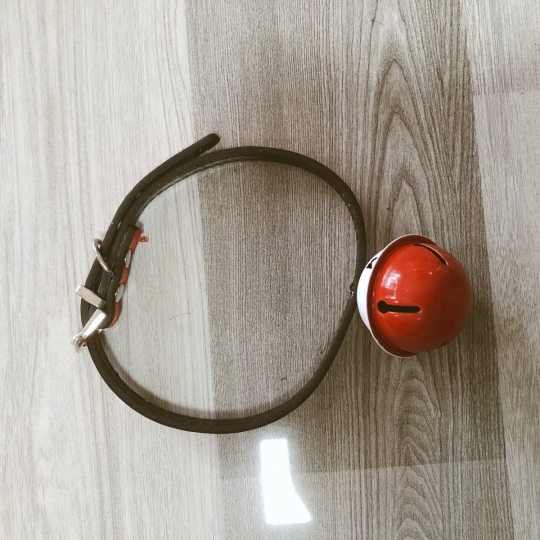  Vòng cổ chuông khổng lồ