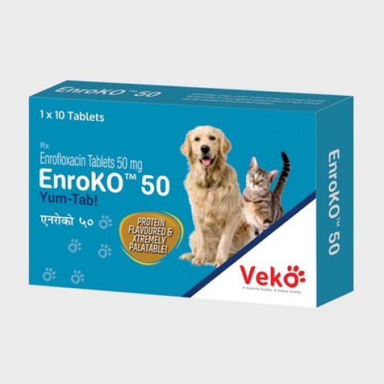 EnroKO thuốc trị kiết lỵ ở mèo hiệu quả