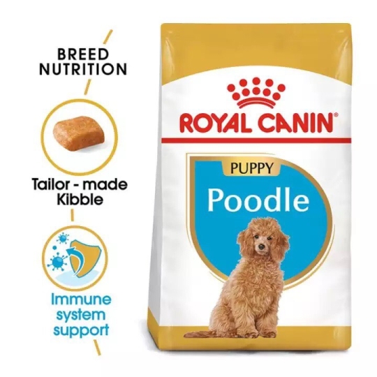 Royal canin poodle puppy  - Thức ăn cho chó Poodle Chó con