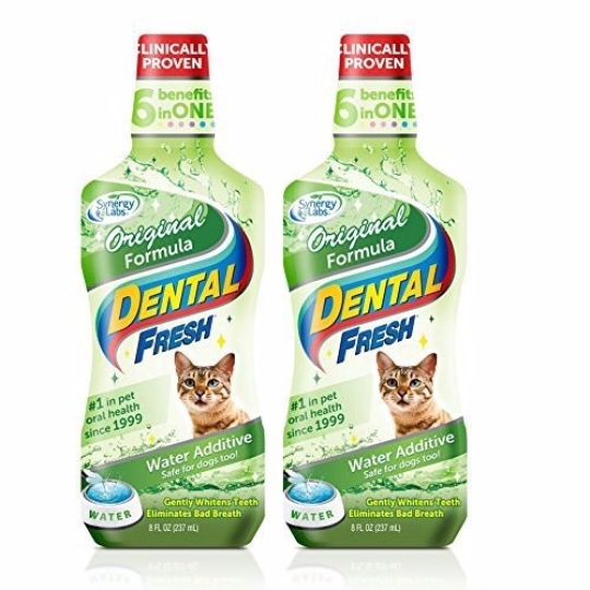  Hết Hôi Miệng cho Mèo _237_Dental Fresh O.Cat